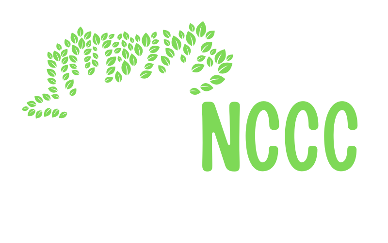 Next Chapter Childrens Care